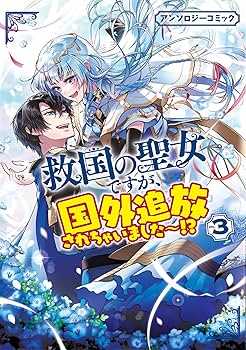 「ウエッブスターの第３新国際事典　要約なし」１９６６年発行３巻構成 81Tss+zJLUL._UF350,350_QL80_.jpg